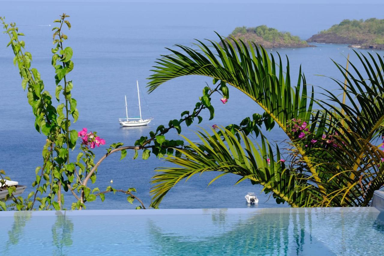 Sunset Palm - Villa Creole Avec Piscine Face Au Coucher De Soleil Et A La Reserve Cousteau Bouillante Ngoại thất bức ảnh