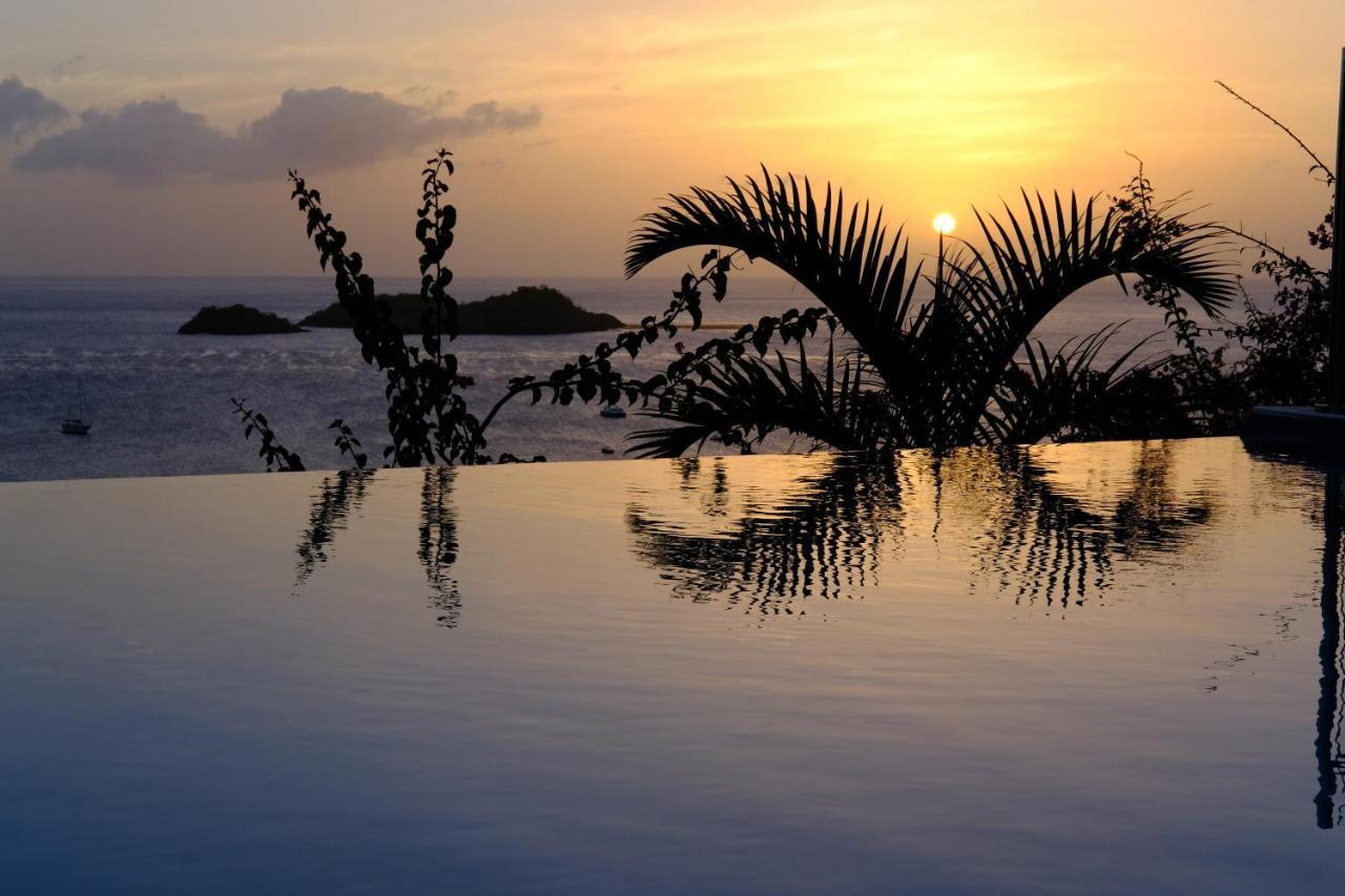 Sunset Palm - Villa Creole Avec Piscine Face Au Coucher De Soleil Et A La Reserve Cousteau Bouillante Ngoại thất bức ảnh