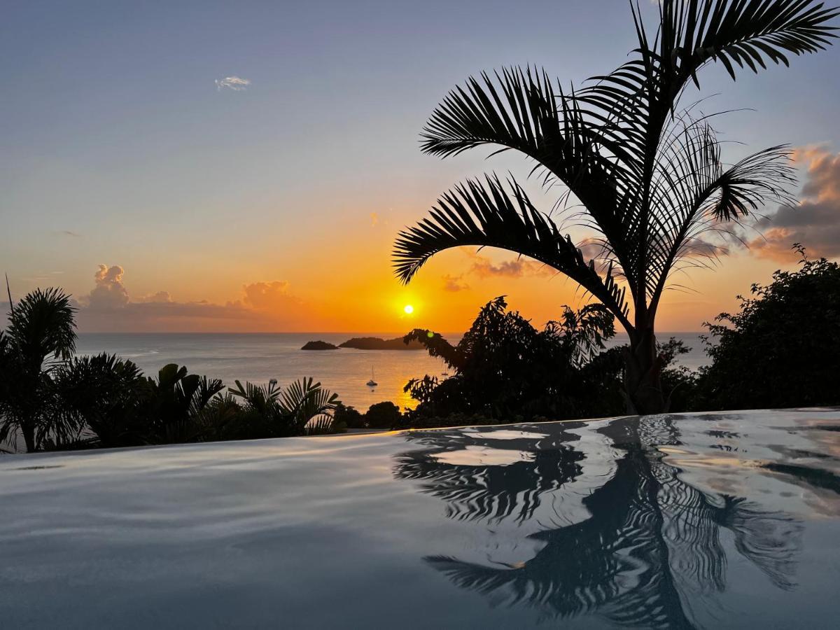 Sunset Palm - Villa Creole Avec Piscine Face Au Coucher De Soleil Et A La Reserve Cousteau Bouillante Ngoại thất bức ảnh